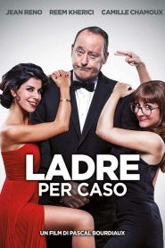 Ladre per caso