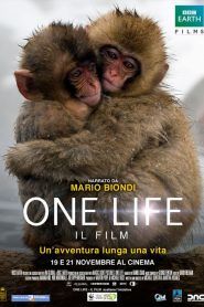 One Life