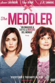 The Meddler