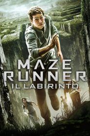 Maze Runner – Il labirinto