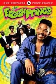 Willy il Principe di Bel-Air: Stagione 1