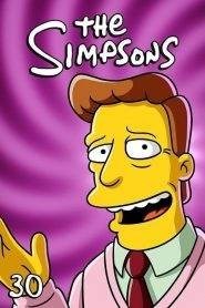 I Simpson: Stagione 30