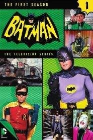 Batman: Stagione 1