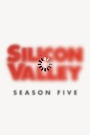 Silicon Valley: Stagione 5