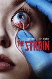 The Strain: Stagione 1