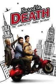 Bored to Death: Stagione 3