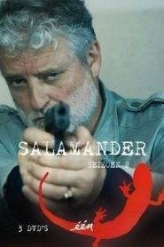 Salamander: Stagione 2