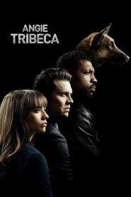 Angie Tribeca: Stagione 1