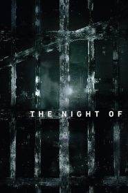 The Night Of: Stagione 1