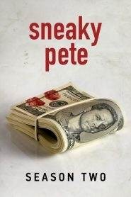 Sneaky Pete: Stagione 2