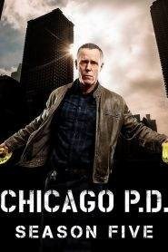 Chicago P.D.: Stagione 5