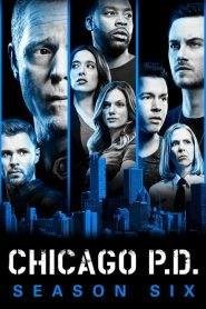 Chicago P.D.: Stagione 6