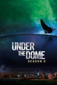 Under the Dome: Stagione 3