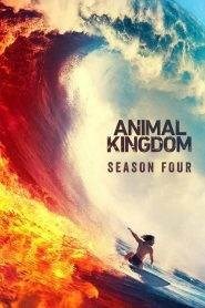 Animal Kingdom: Stagione 4