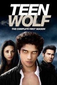 Teen Wolf: Stagione 1