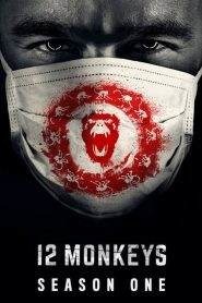 12 Monkeys: Stagione 1