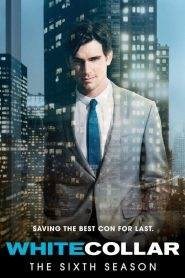 White Collar – Fascino criminale: Stagione 6