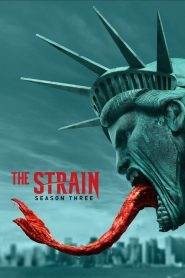 The Strain: Stagione 3