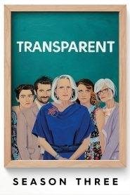 Transparent: Stagione 3