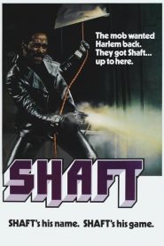 Shaft il detective