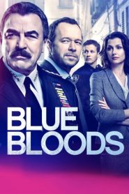 Blue Bloods: Stagione 9