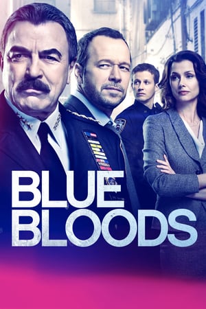 Blue Bloods: Stagione 9