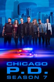 Chicago P.D.: Stagione 7