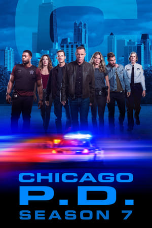 Chicago P.D.: Stagione 7