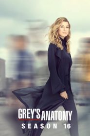 Grey’s Anatomy: Stagione 16