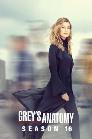 Grey’s Anatomy: Stagione 16