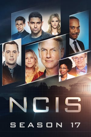 NCIS – Unità anticrimine: Stagione 17