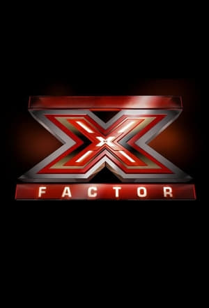 X Factor: Stagione 13