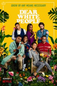 Dear White People: Stagione 3