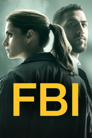 FBI: Stagione 2