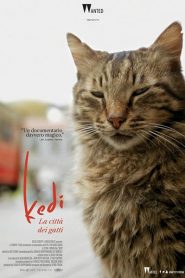 Kedi – La città dei gatti