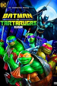 Batman vs. Teenage Mutant Ninja Turtles