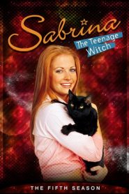 Sabrina, vita da strega: Stagione 5