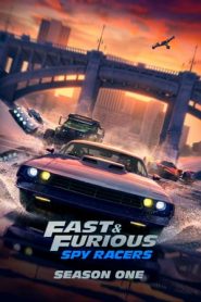 Fast & Furious: Piloti sotto copertura: Stagione 1