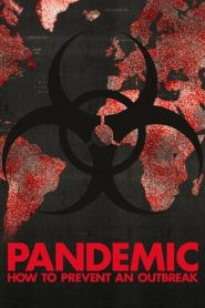 Pandemia globale