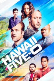 Hawaii Five-0: Stagione 9