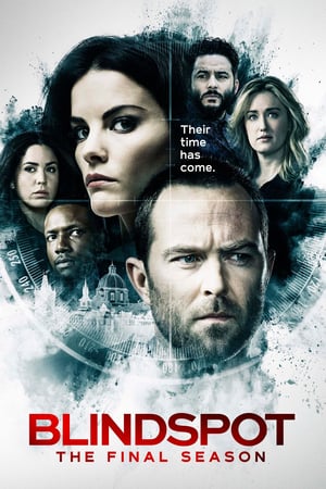 Blindspot: Stagione 5