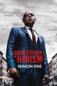 Godfather of Harlem: Stagione 1