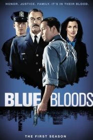 Blue Bloods: Stagione 1