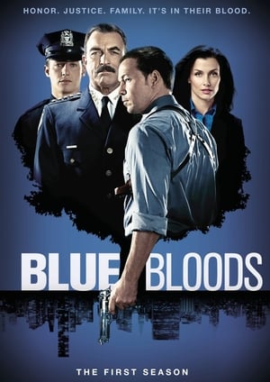 Blue Bloods: Stagione 1