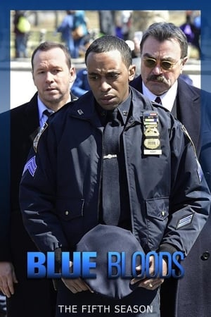 Blue Bloods: Stagione 5