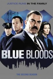 Blue Bloods: Stagione 2