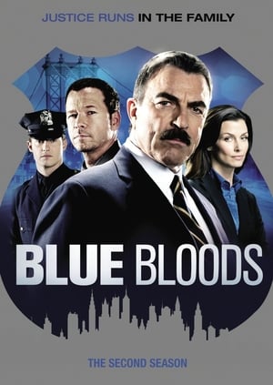 Blue Bloods: Stagione 2