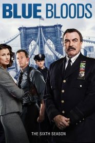 Blue Bloods: Stagione 6