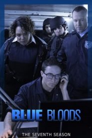 Blue Bloods: Stagione 7