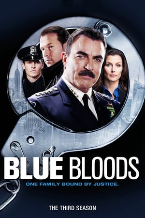 Blue Bloods: Stagione 3